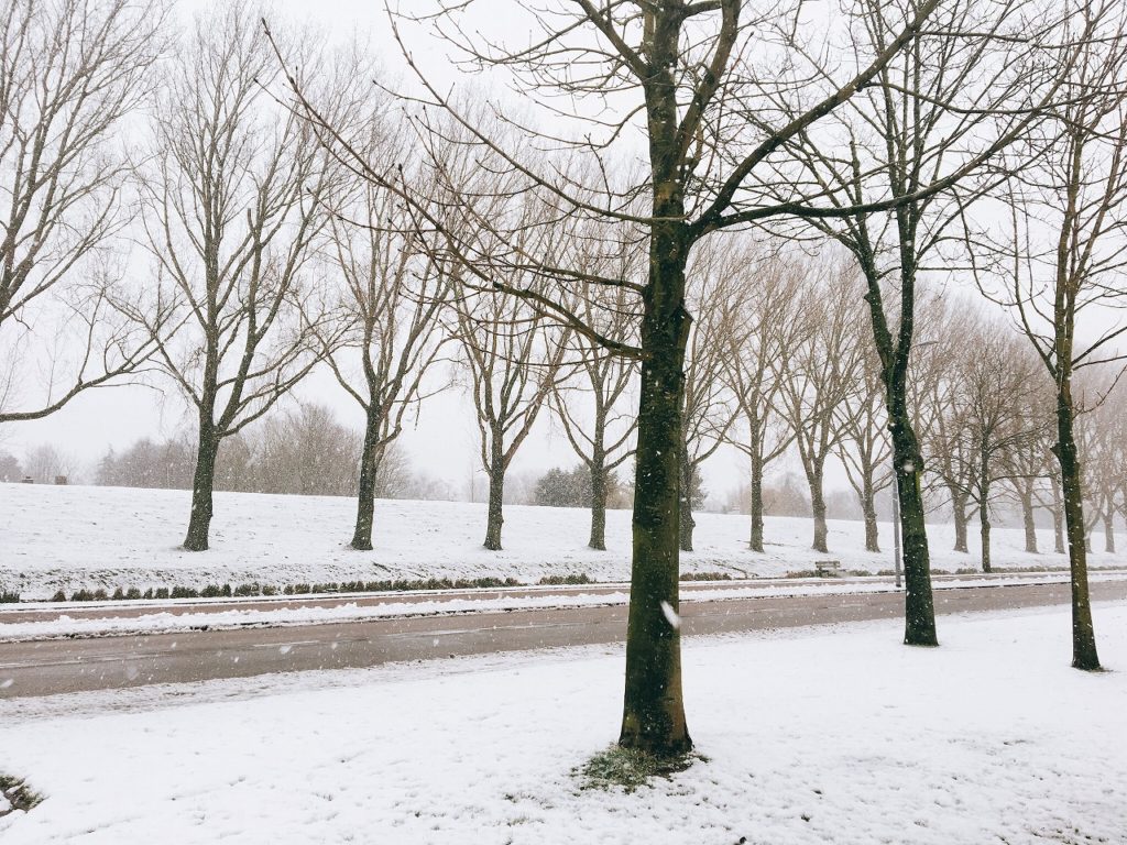 オランダに雪は降るの オランダjp