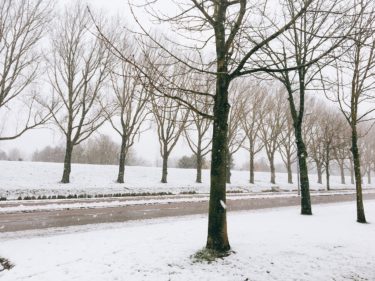 オランダに雪は降るの？