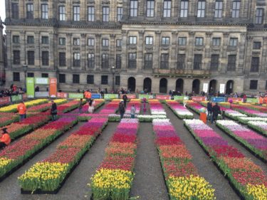 2020年オランダのイベント