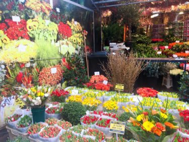 シンゲルの花市場（アムステルダム観光）│オランダjp