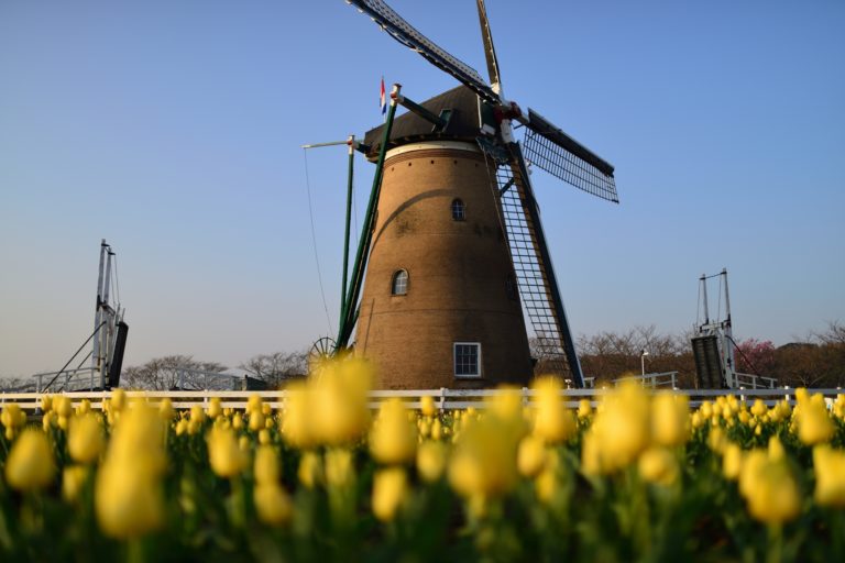 日本の風車がある観光地 場所17選 オランダ旅行気分 オランダjp