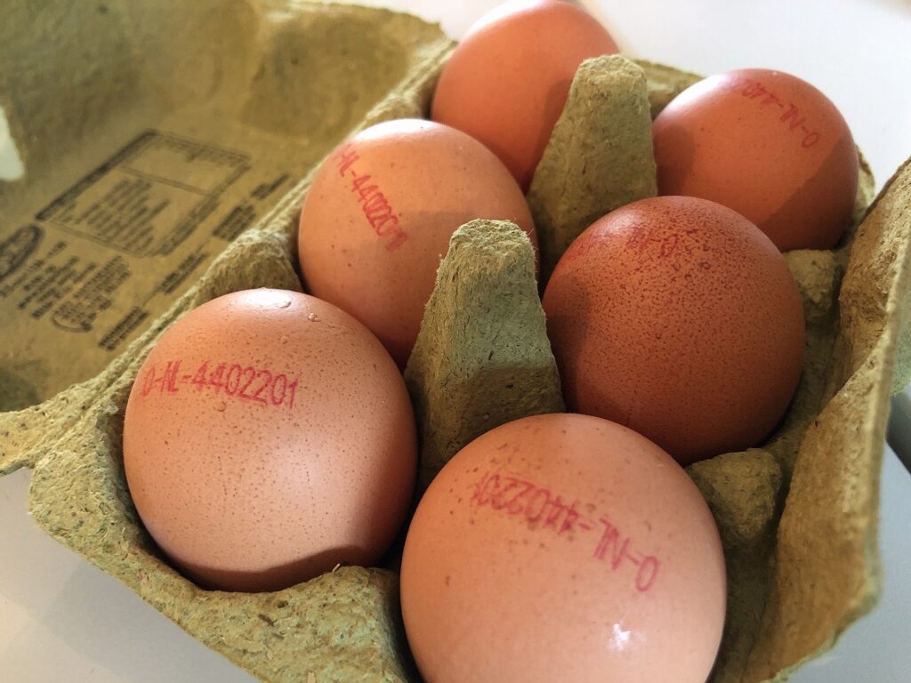卵に番号 オランダの卵まとめ オランダジェーピー Oranda Jp