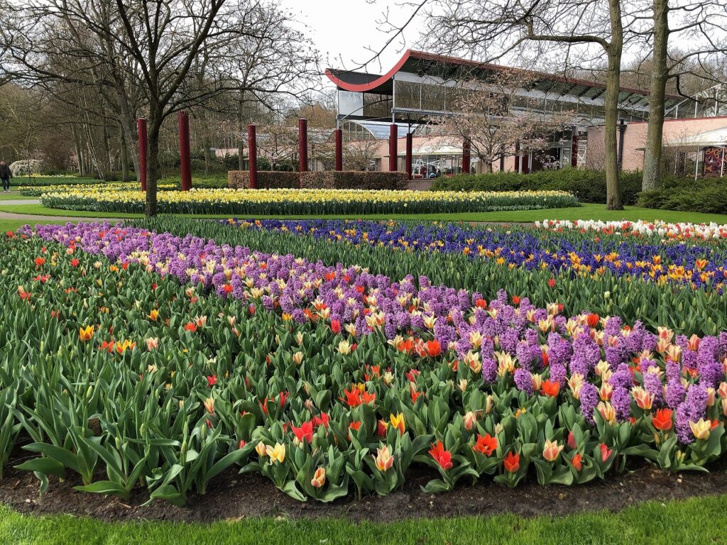 キューケンホフ公園 23年情報