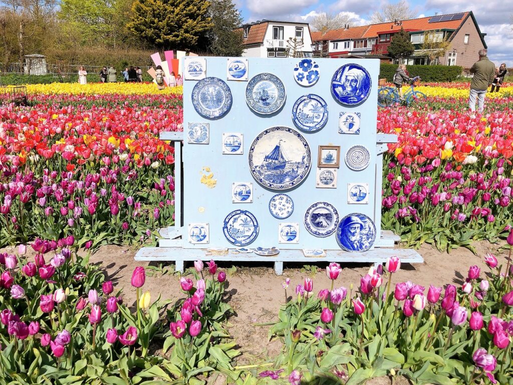 オランダでインスタ映えチューリップを撮影 The Tulip Barn Oranda Jp オランダジェーピー