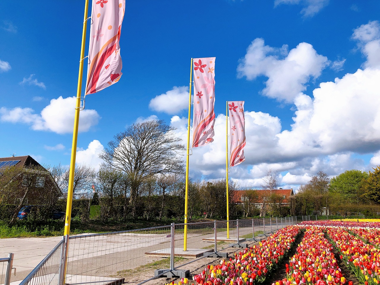オランダの四季