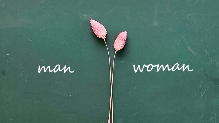 オランダ語に男性名詞 女性名詞はある オランダjp オランダ語に男性名詞 女性名詞はある オランダjp