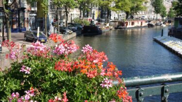 オランダの夏 観光で楽しみたい事13選！