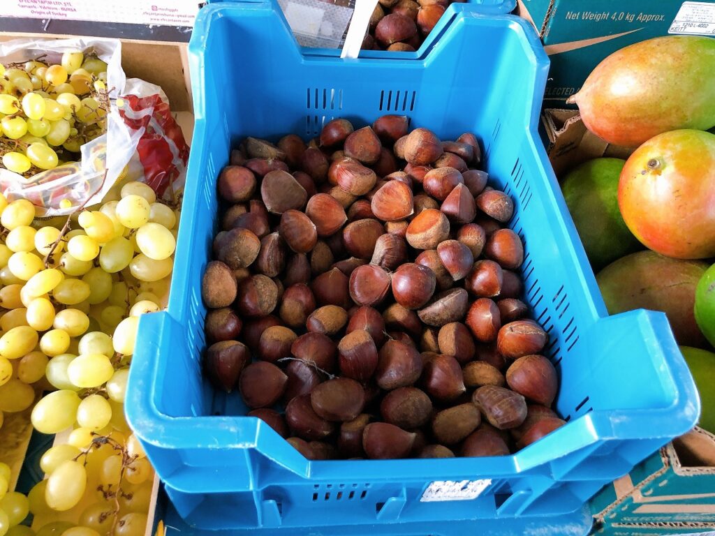 オランダで栗 オランダjp