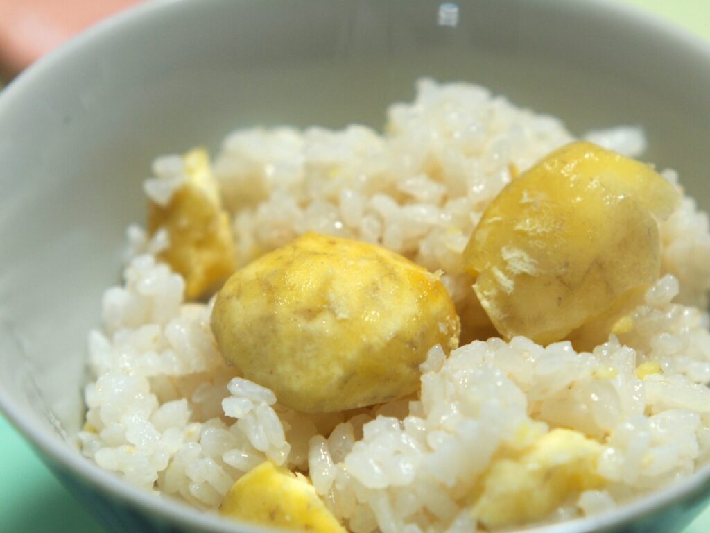 オランダで栗 オランダjp