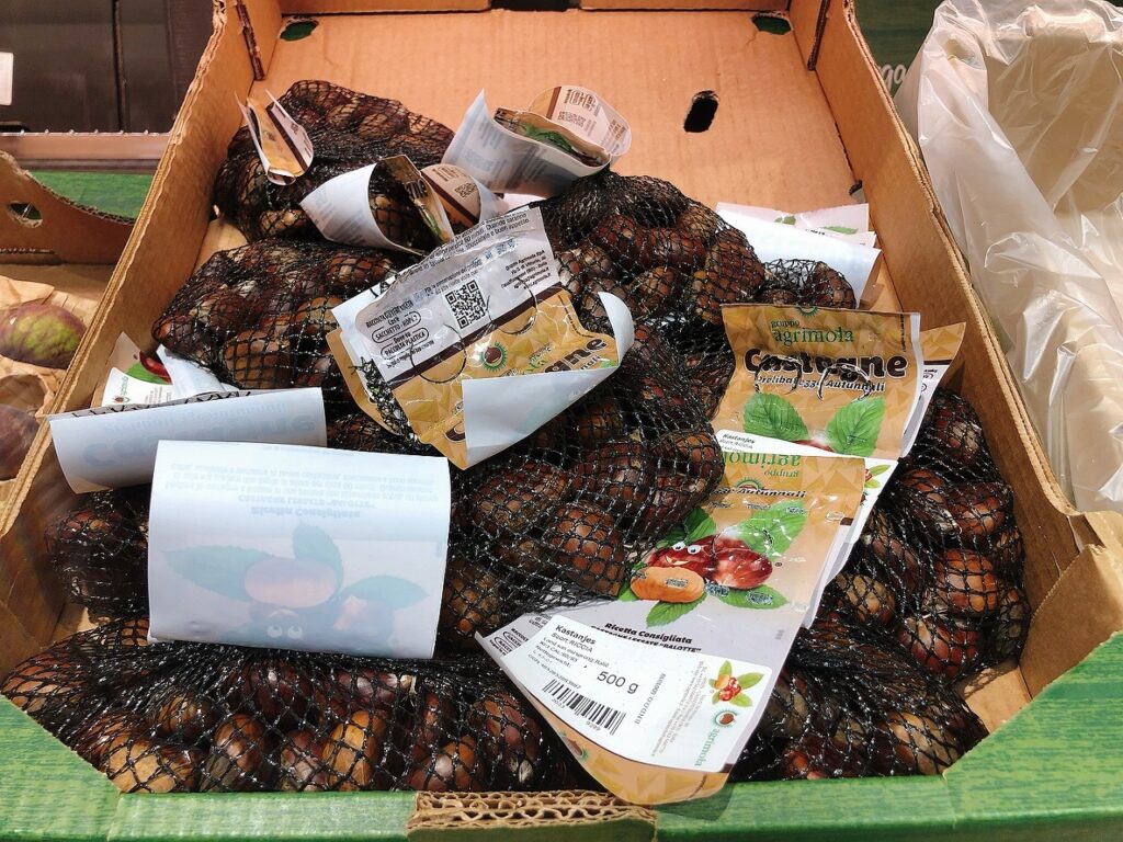 オランダで栗 オランダjp