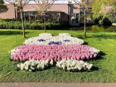 キューケンホフ公園のミッフィー花壇