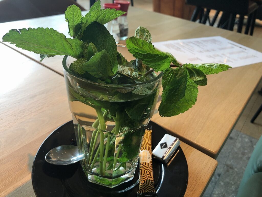 オランダでフレッシュ ミントティー オランダjp