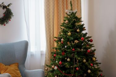 オランダでクリスマスツリー