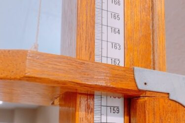 オランダ人の平均身長は世界一！なぜ背が高い？6つの理由