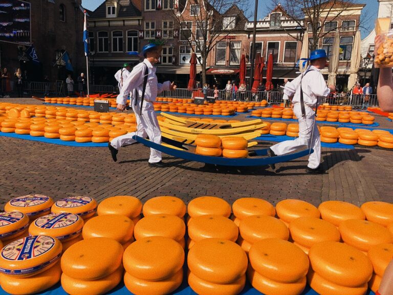 アルクマールのチーズ市【2025年】│オランダjp