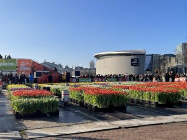 オランダ チューリップの日