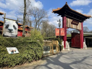 オランダでパンダが見れるアウエハンツ動物園